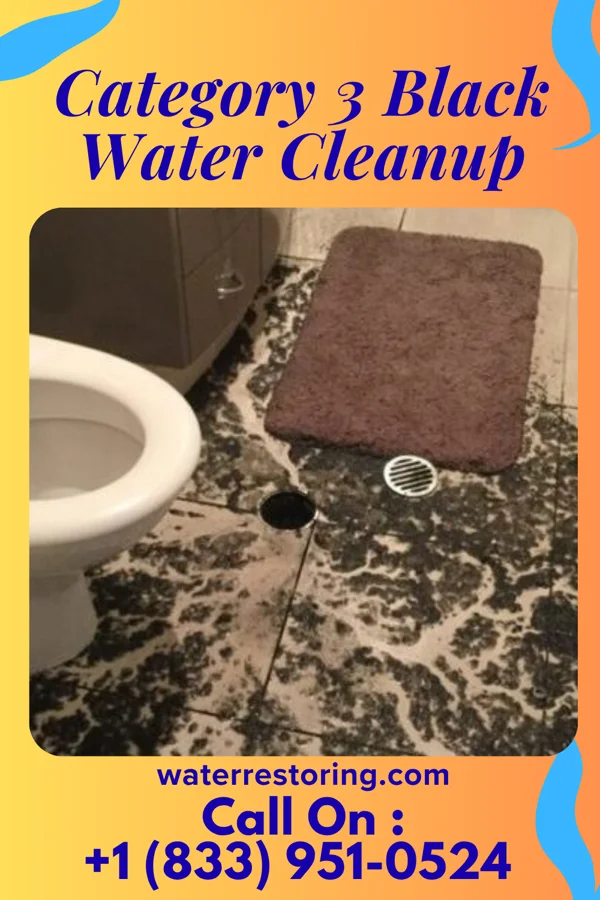 Category 3 Black Water Cleanup in Byron, WY