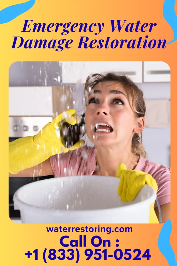 Emergency Water Damage Restoration in Byron, WY