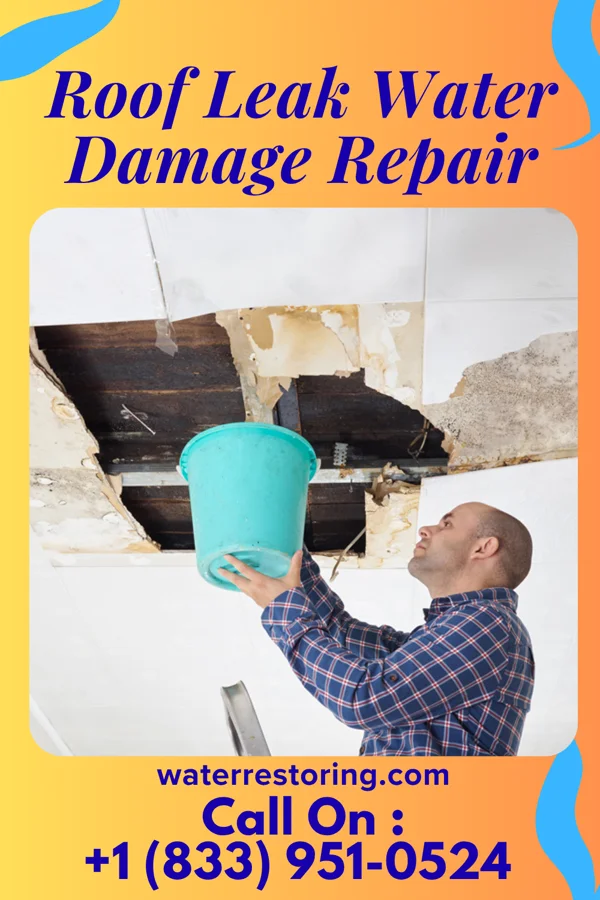 Roof Leak Water Damage Repair in Byron, WY