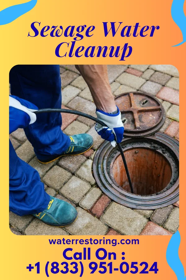Sewage Water Cleanup in Byron, WY