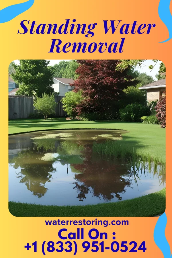 Standing Water Removal in Byron, WY